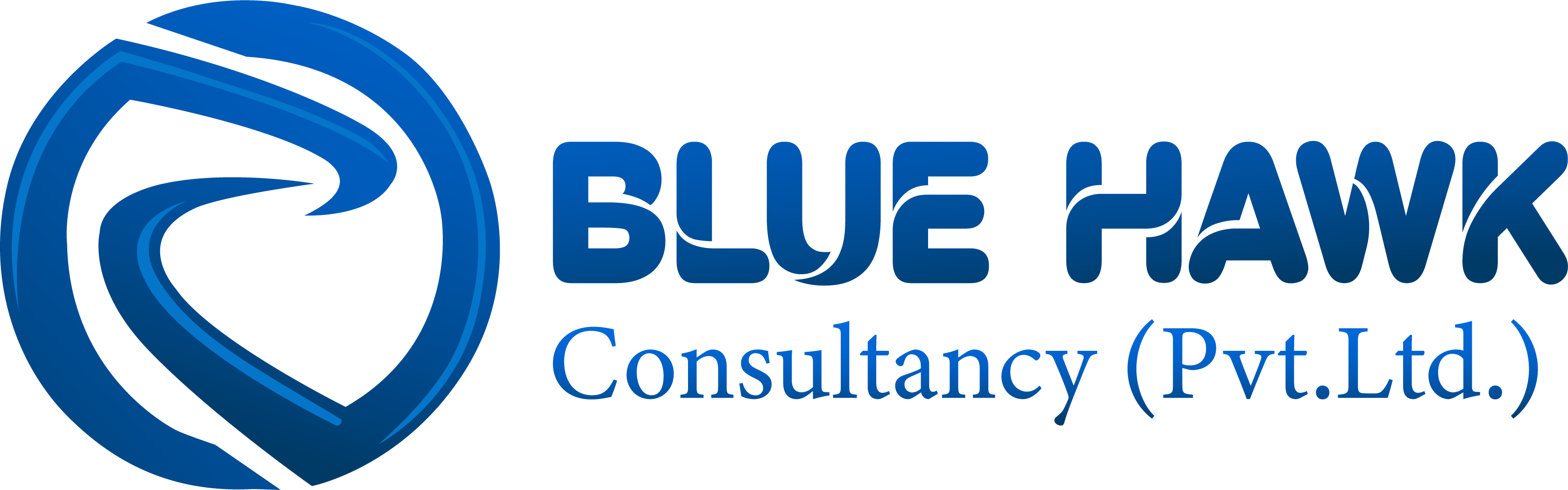Blue Hawk Consultancy
